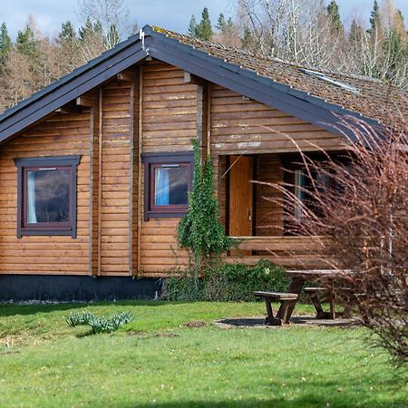 Loch Insh Chalets Ltd Кинкрейг Экстерьер фото