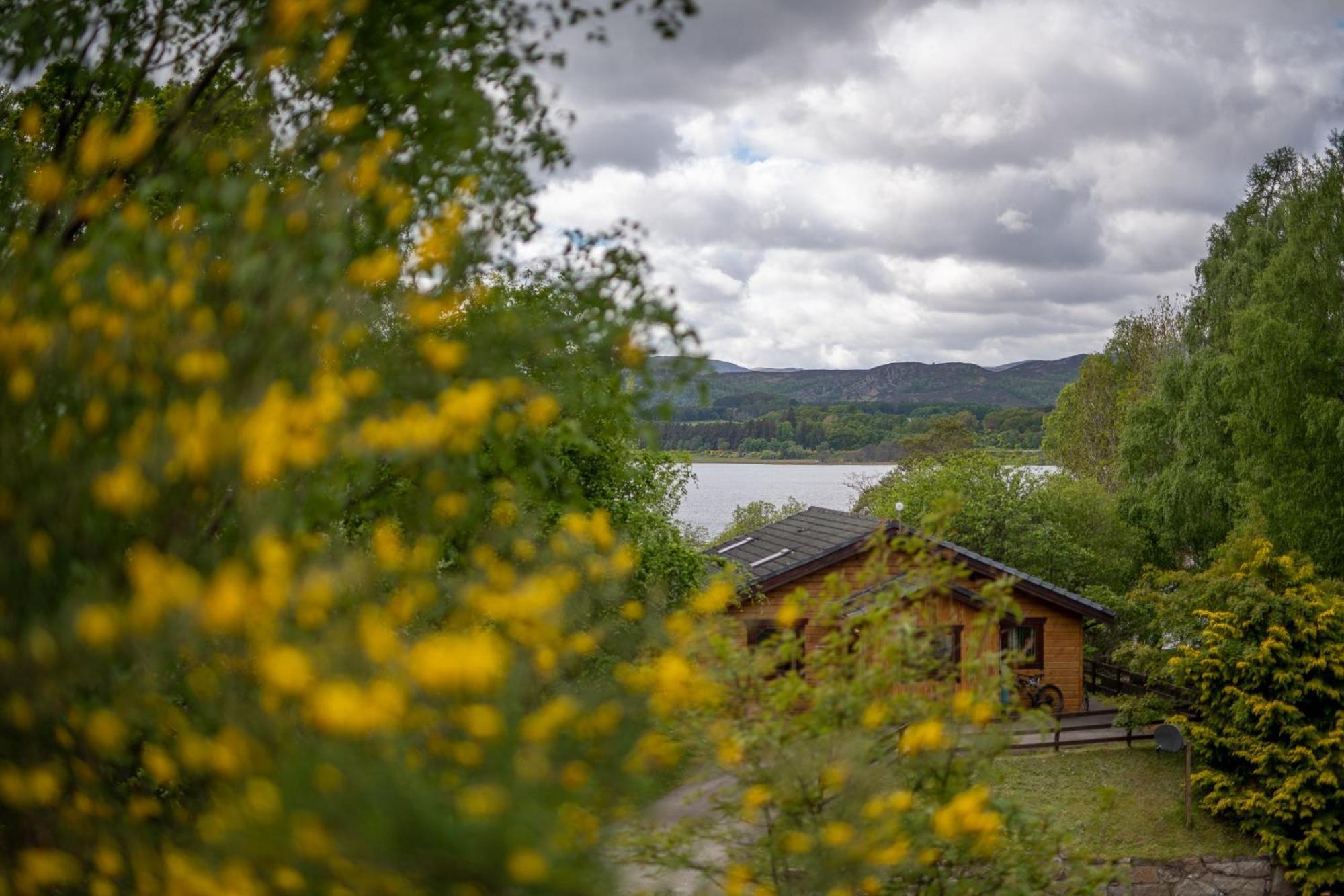 Loch Insh Chalets Ltd Кинкрейг Экстерьер фото