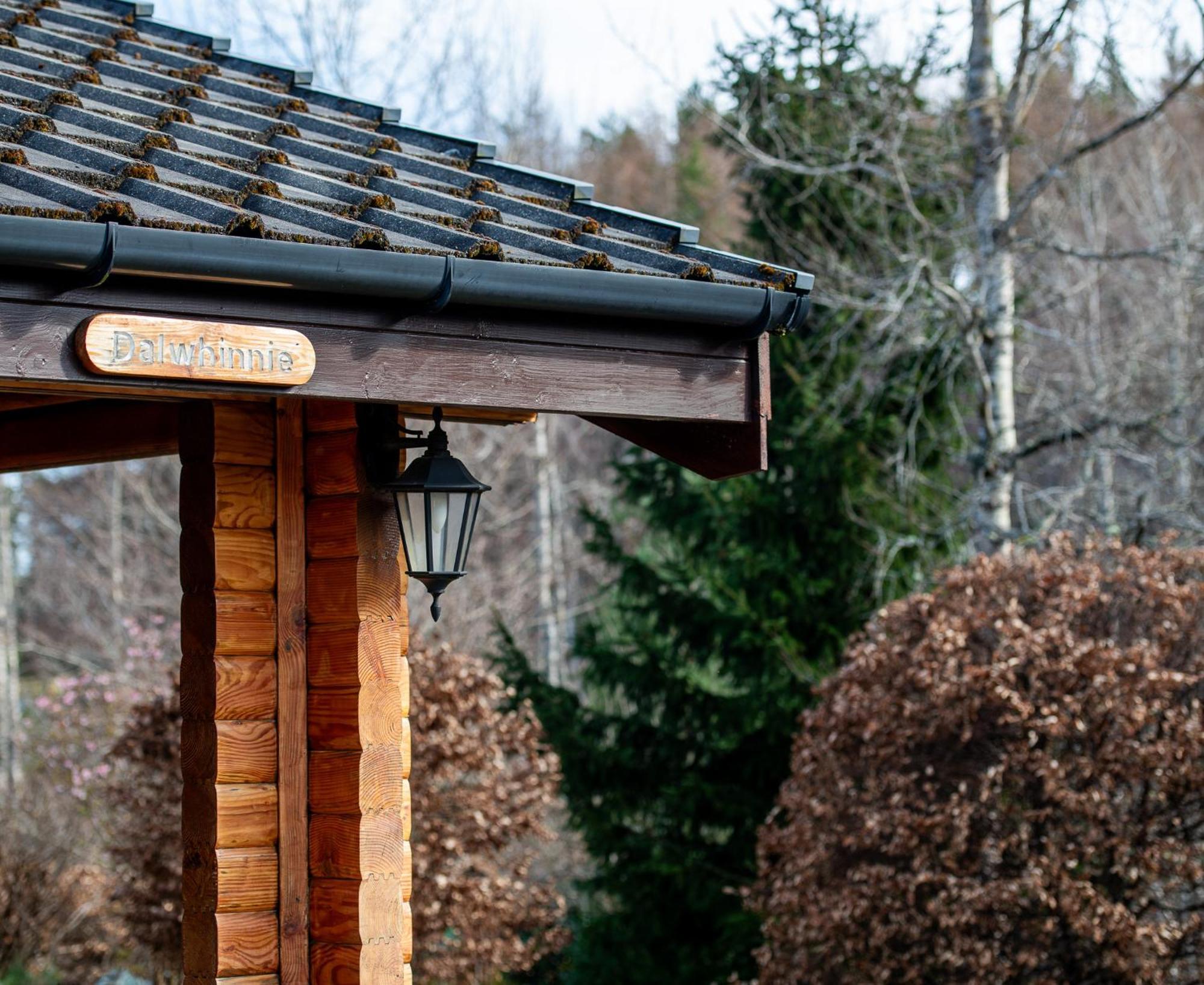 Loch Insh Chalets Ltd Кинкрейг Экстерьер фото