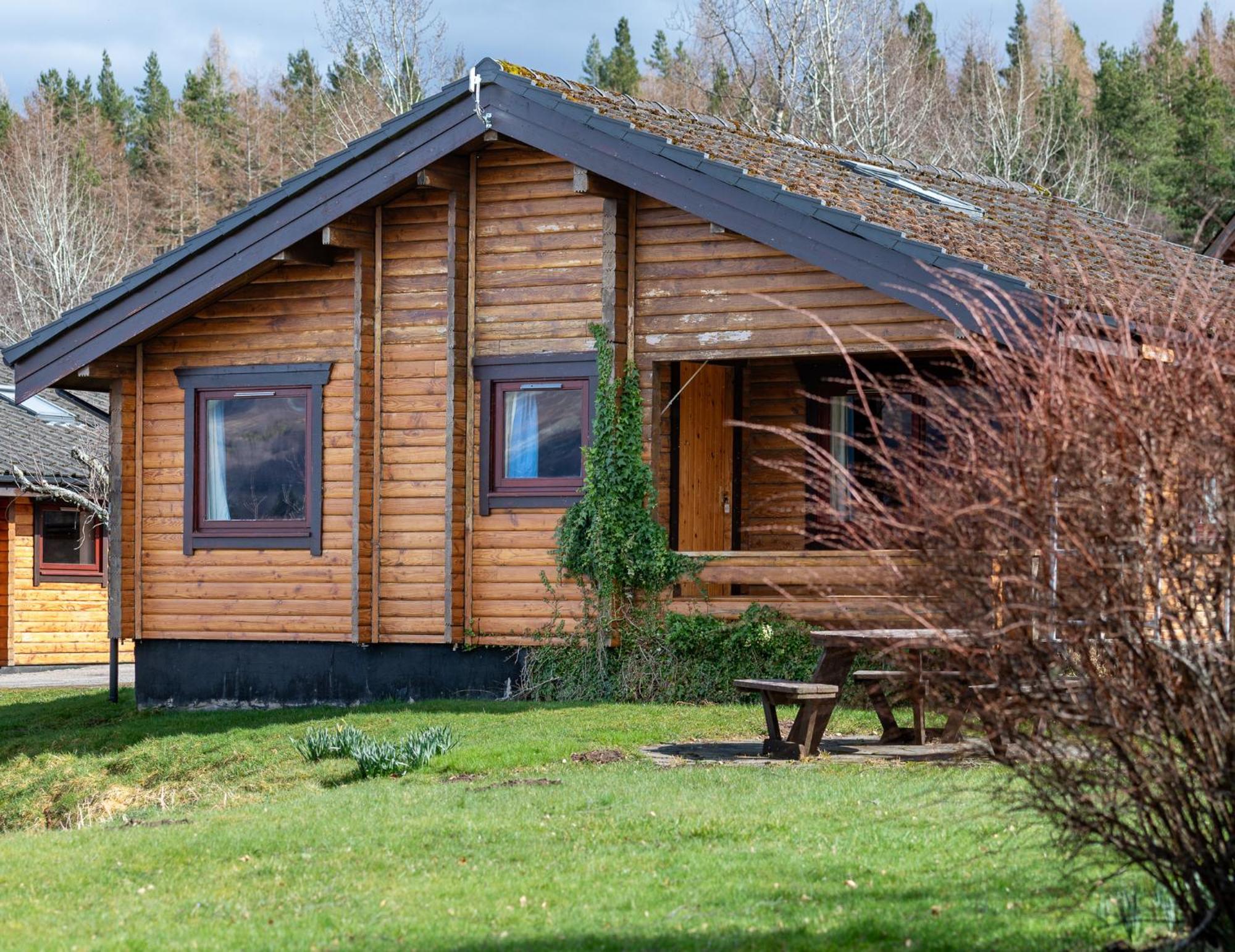 Loch Insh Chalets Ltd Кинкрейг Экстерьер фото