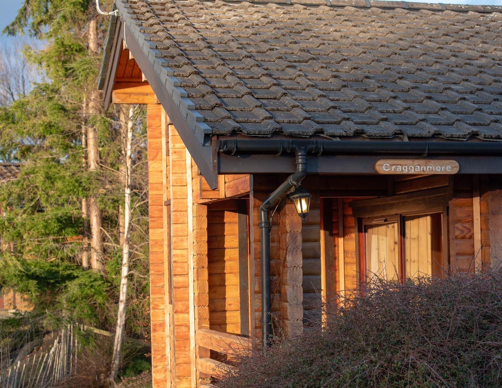 Loch Insh Chalets Ltd Кинкрейг Номер фото